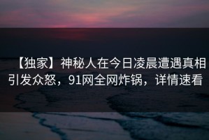 【独家】神秘人在今日凌晨遭遇真相引发众怒，91网全网炸锅，详情速看