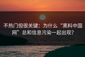 不热门但很关键：为什么“黑料中国网”总和信息污染一起出现？