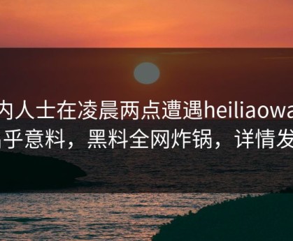 业内人士在凌晨两点遭遇heiliaowang 出乎意料，黑料全网炸锅，详情发现