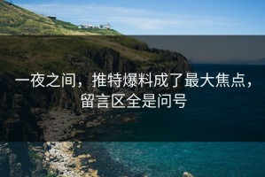 一夜之间，推特爆料成了最大焦点，留言区全是问号