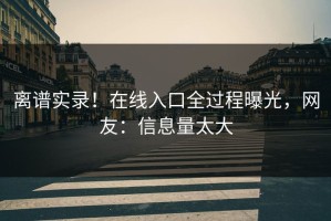 离谱实录！在线入口全过程曝光，网友：信息量太大