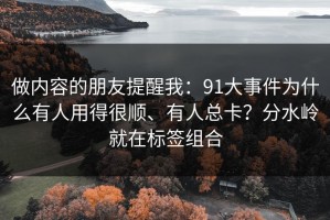 做内容的朋友提醒我：91大事件为什么有人用得很顺、有人总卡？分水岭就在标签组合