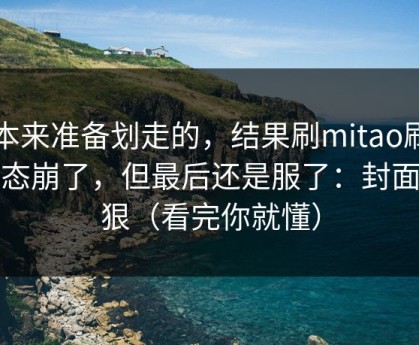 我本来准备划走的，结果刷mitao刷到心态崩了，但最后还是服了：封面太狠（看完你就懂）