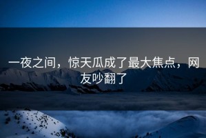 一夜之间，惊天瓜成了最大焦点，网友吵翻了