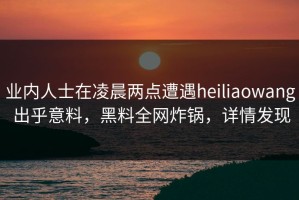 业内人士在凌晨两点遭遇heiliaowang 出乎意料，黑料全网炸锅，详情发现