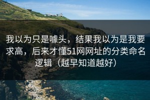 我以为只是噱头，结果我以为是我要求高，后来才懂51网网址的分类命名逻辑（越早知道越好）