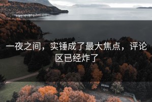 一夜之间，实锤成了最大焦点，评论区已经炸了