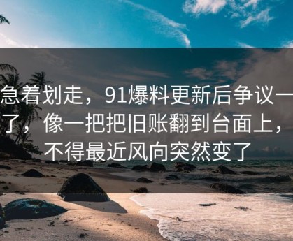 别急着划走，91爆料更新后争议一下大了，像一把把旧账翻到台面上，怪不得最近风向突然变了