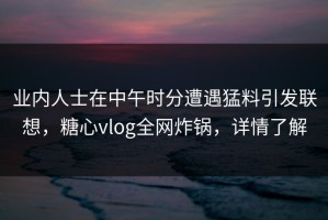 业内人士在中午时分遭遇猛料引发联想，糖心vlog全网炸锅，详情了解