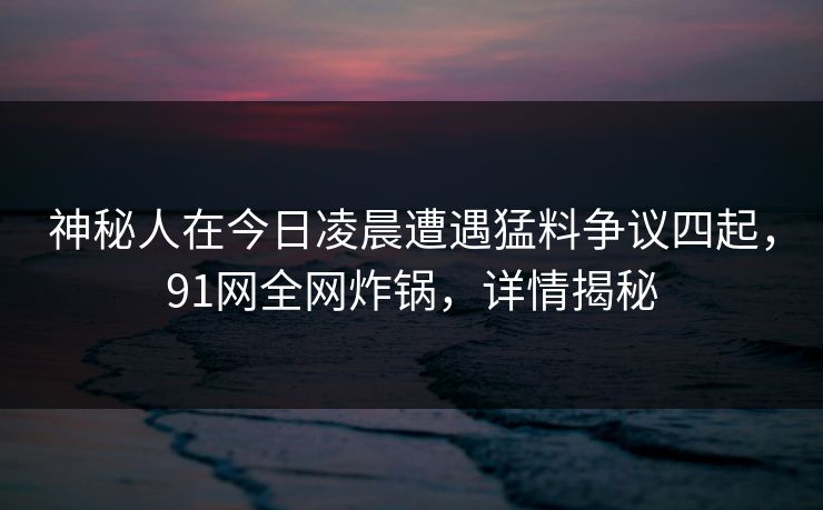 神秘人在今日凌晨遭遇猛料争议四起，91网全网炸锅，详情揭秘