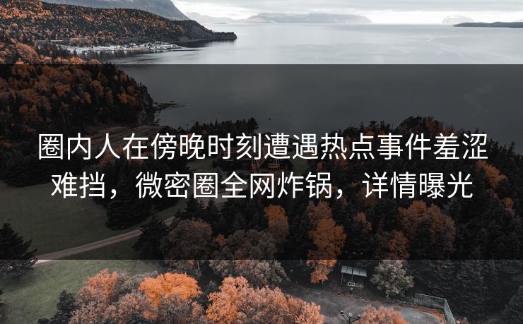 圈内人在傍晚时刻遭遇热点事件羞涩难挡，微密圈全网炸锅，详情曝光