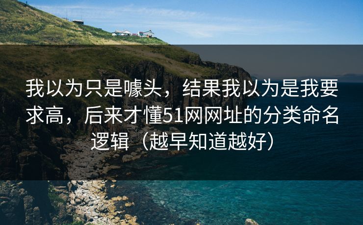 我以为只是噱头，结果我以为是我要求高，后来才懂51网网址的分类命名逻辑（越早知道越好）